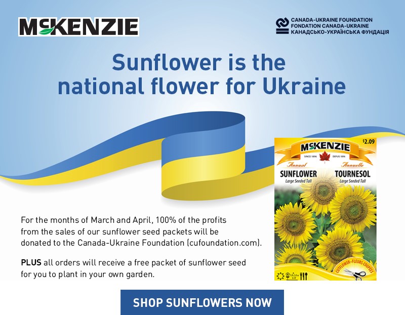 McKenzie Sunflower Seeds For Ukraine